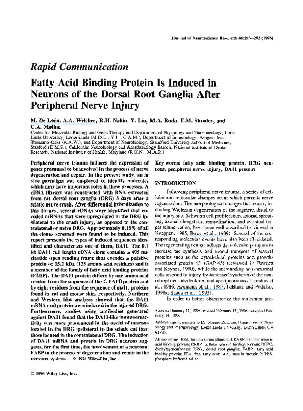 (PDF) Fatty acid binding protein is induced in neurons of the dorsal ...