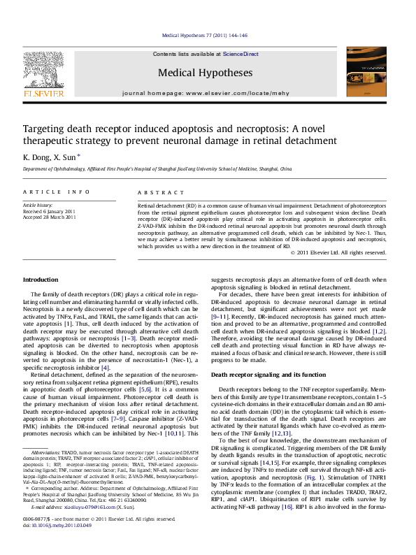 (PDF) Photoreceptor cell death and rescue in retinal detachment and ...