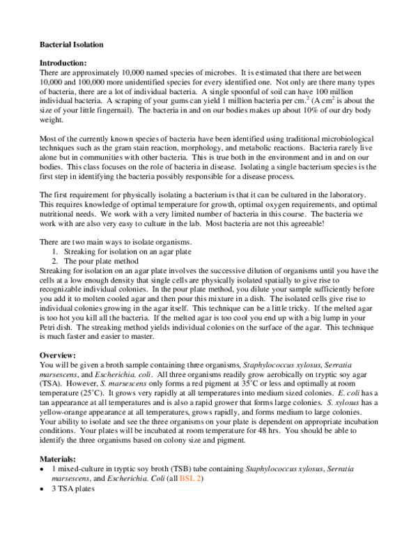 (PDF) Bacterial Isolation
