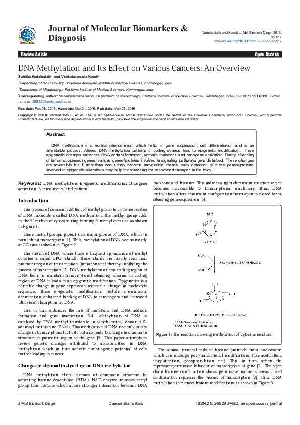 (PDF) DNA Methylation and Its Effect on Various Cancers: An Overview