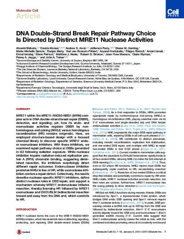 Molecular Cell DNA Double-Strand Break Repair Pathway Choice Is ...