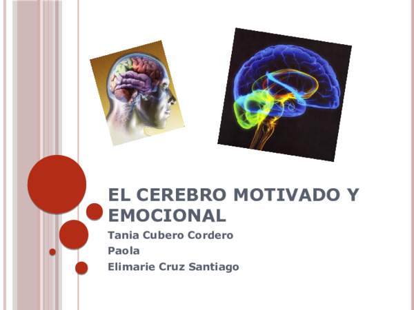 El Cerebro Motivado Y Emocional Pdf