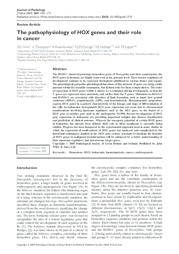 (PDF) The pathophysiology ofHOX genes and their role in cancer