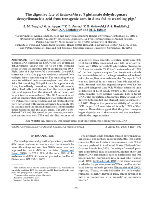 (PDF) The digestive fate of Escherichia coli glutamate dehydrogenase ...