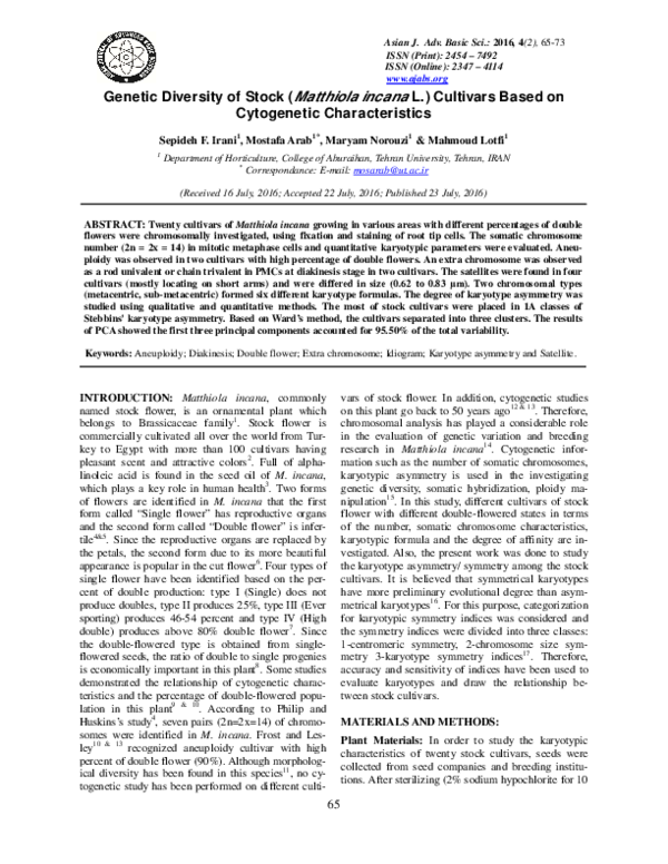 (PDF) Genetic Diversity of Stock (Matthiola incana L.) Cultivars based ...
