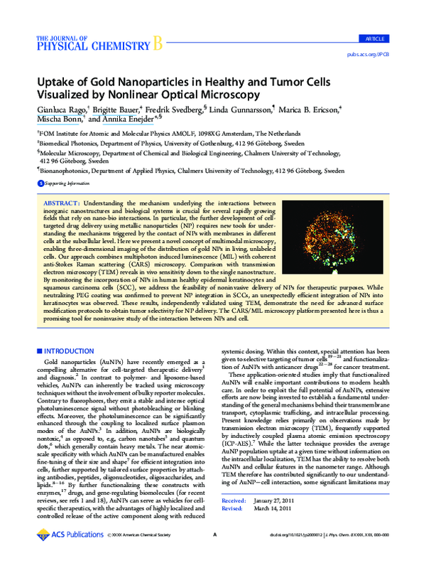 (PDF) Uptake of Gold Nanoparticles in Healthy and Tumor Cells ...