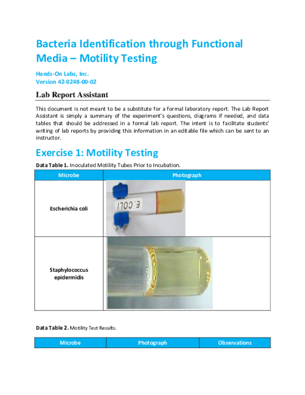 (DOC) Bacteria Identification through Functional Media Motility Testing HandsOn Labs, Inc