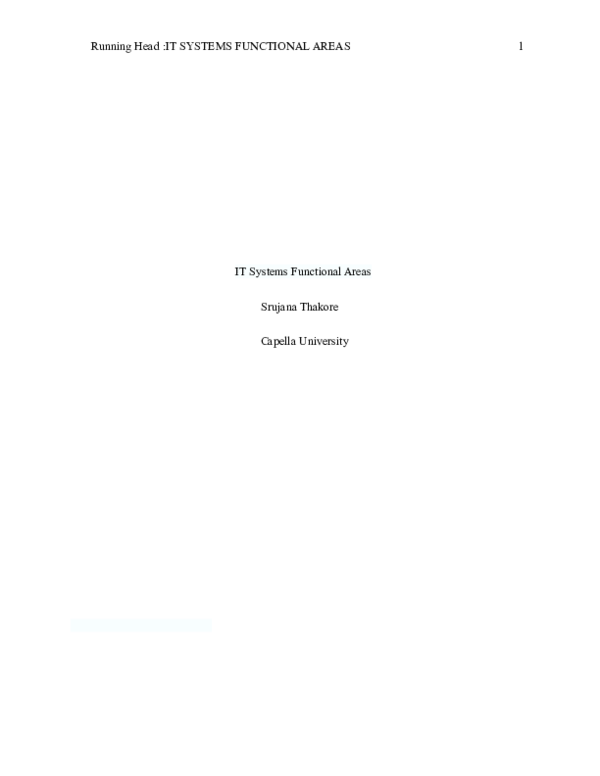 (DOC) IT Systems Functional Areas.docx