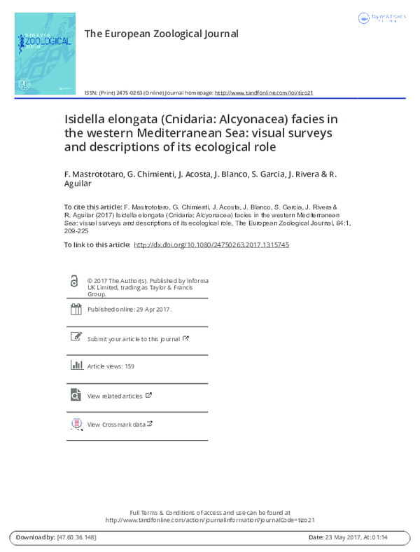 (PDF) Isidella elongata (Cnidaria: Alcyonacea) facies in the western ...