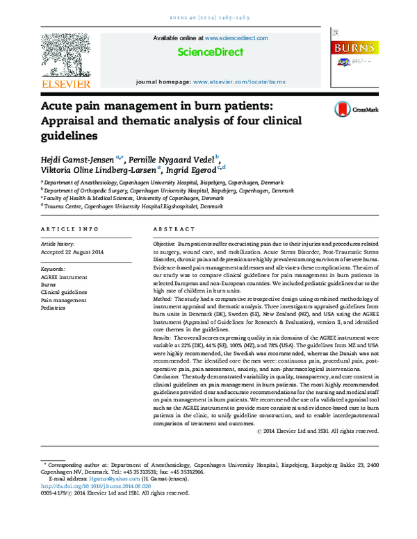 (PDF) Acute pain management in burn patients Appraisal and thematic