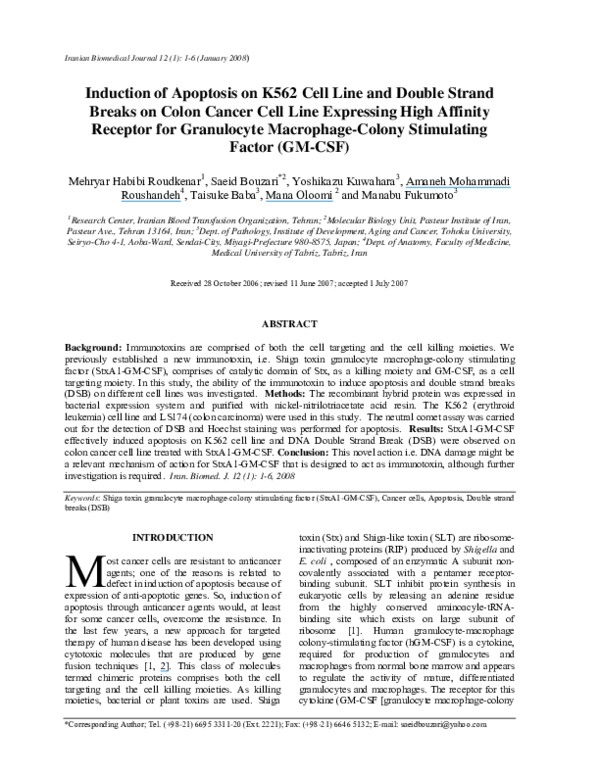 (PDF) Induction of apoptosis on K562 cell line and double strand breaks ...