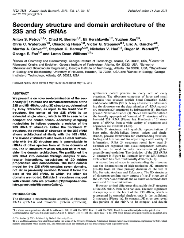 (PDF) Secondary structure and domain architecture of the 23S and 5S rRNAs