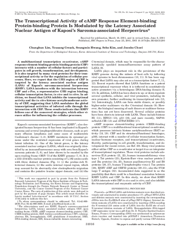 (PDF) The Transcriptional Activity of cAMP Response Element-binding ...