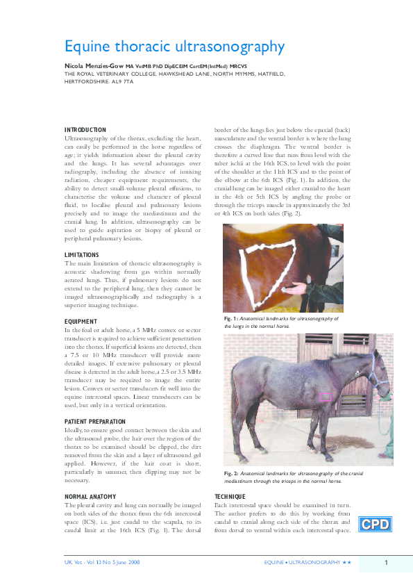 (PDF) Equine thoracic ultrasonography Nicola Menziesgow Academia.edu