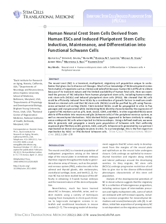(PDF) Human neural crest stem cells derived from human ESCs and induced ...