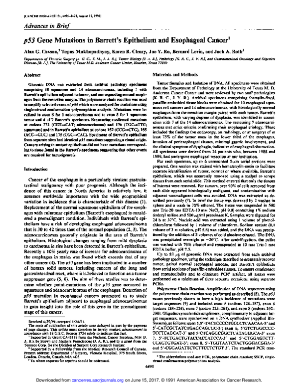 (PDF) p53 gene mutations in Barrett's epithelium and esophageal cancer