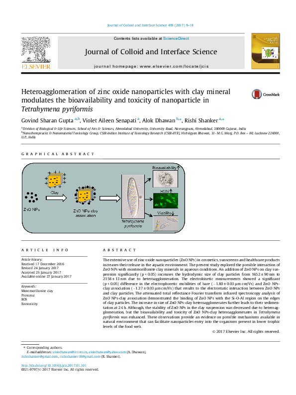 (PDF) Heteroagglomeration of zinc oxide nanoparticles with clay mineral