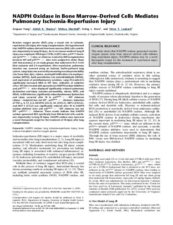(PDF) NADPH Oxidase in Bone Marrow–Derived Cells Mediates Pulmonary ...