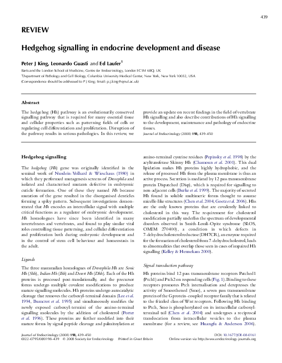 (PDF) Hedgehog signalling in endocrine development and disease | Peter ...
