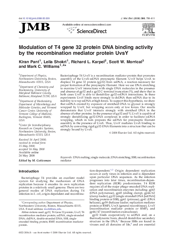 (PDF) Modulation of T4 gene 32 protein DNA binding activity by the