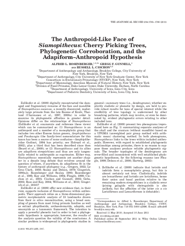 (PDF) The Anthropoid-Like Face of Siamopithecus: Cherry Picking Trees ...