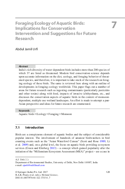 Beauty of birds essay image