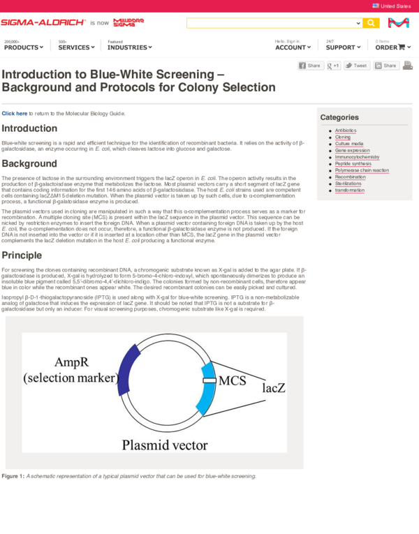 (PDF) Blue White Screening Sigma Aldrich nadia atoum Academia.edu