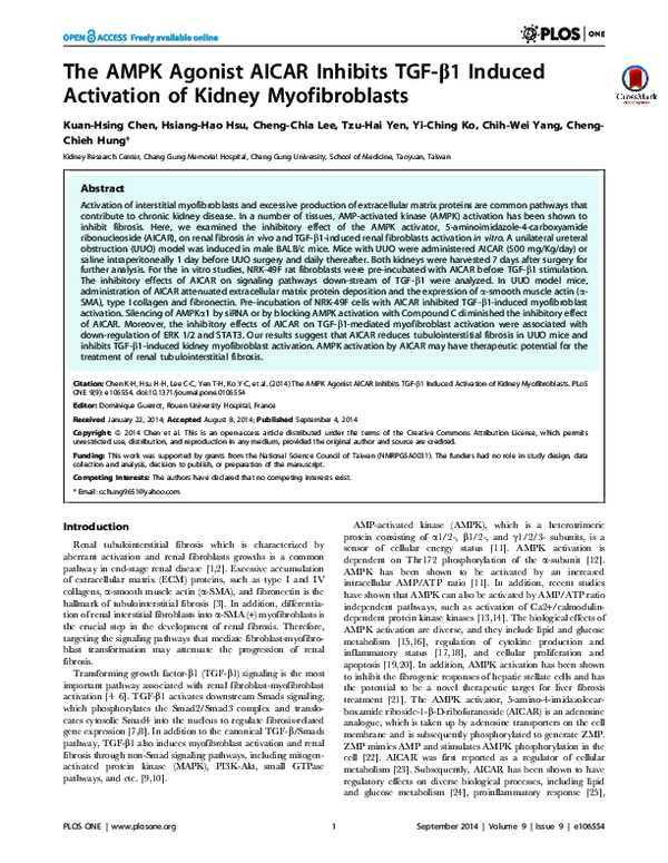 (PDF) The AMPK agonist AICAR inhibits TGF-β1 induced activation of ...