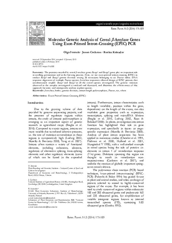 (PDF) Molecular Genetic Analysis of Cereal β-Amylase Genes Using Exon ...