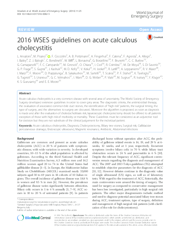 Chronic cholecystitis path outlines image