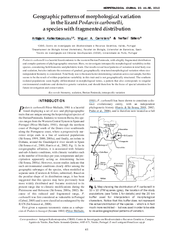 (PDF) Geographic patterns of morphological variation in the lizard ...