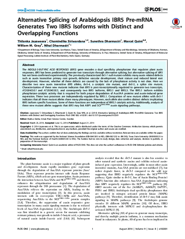 (PDF) Alternative Splicing of Arabidopsis IBR5 Pre-mRNA Generates Two ...