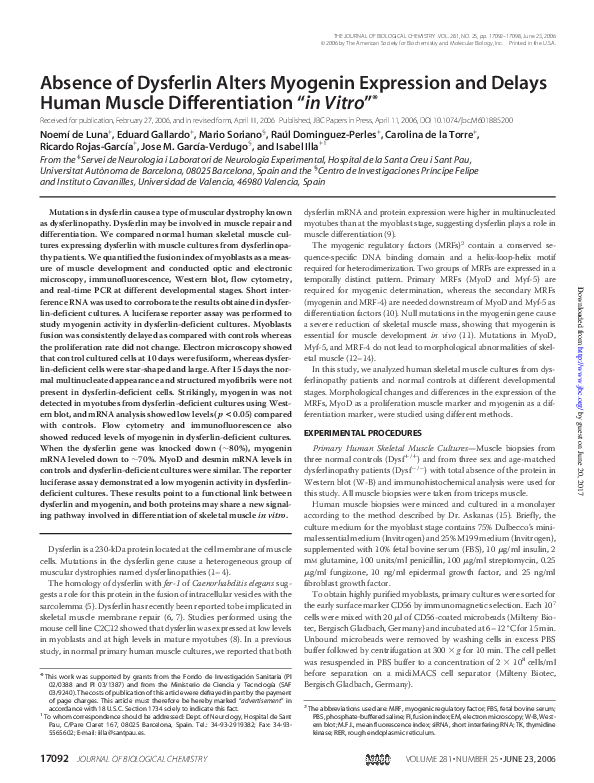 (PDF) Absence of Dysferlin Alters Myogenin Expression and Delays Human ...