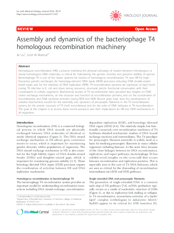 (PDF) Assembly and dynamics of the bacteriophage T4 homologous ...