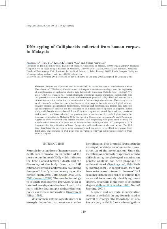 (PDF) DNA typing of Calliphorids collected from human corpses in Malaysia