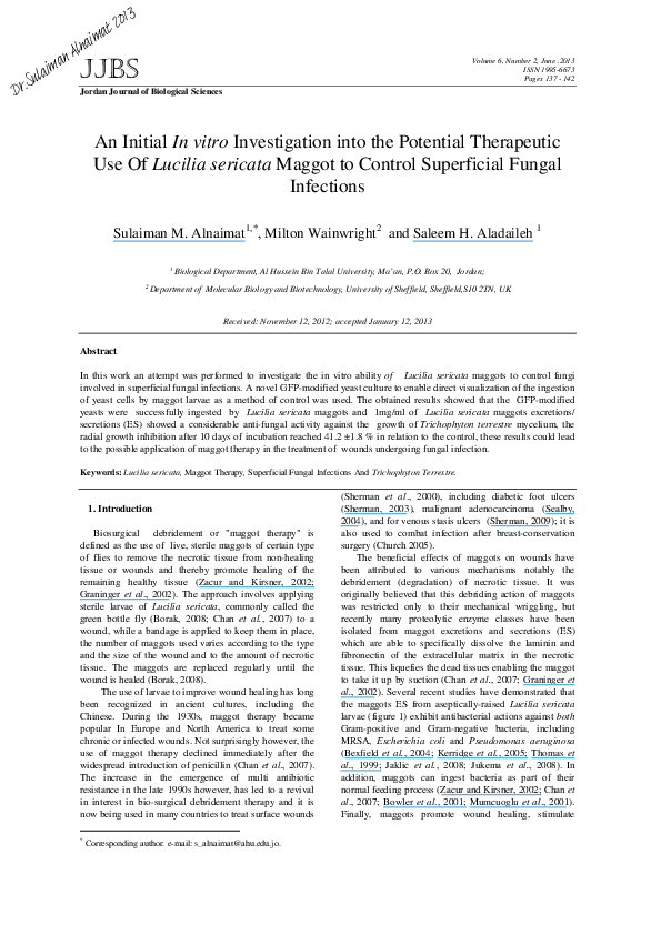 Research papers maggot picture
