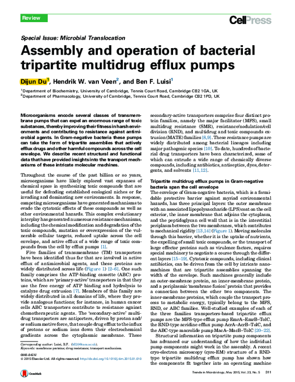 (PDF) Assembly and operation of bacterial tripartite multidrug efflux pumps