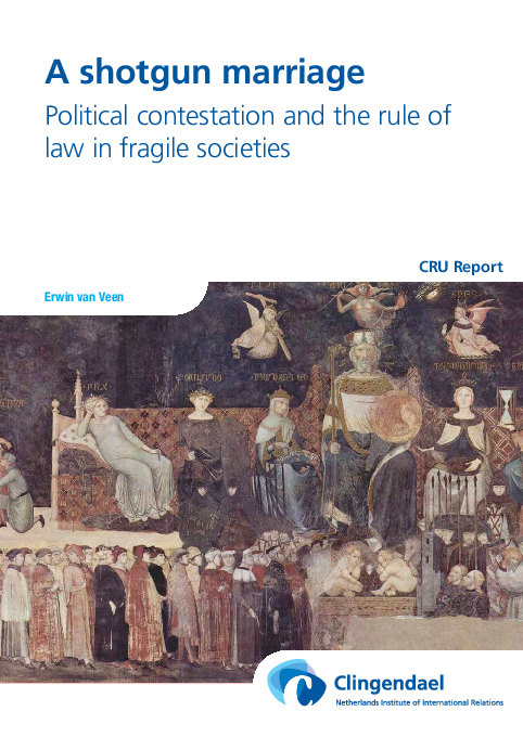 (PDF) A shotgun marriage Political contestation and the rule of law in ...