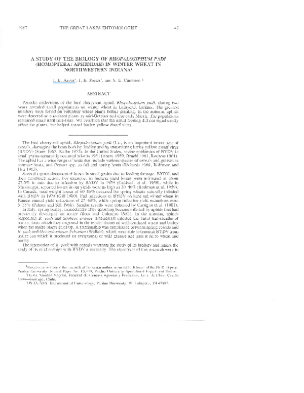 (PDF) A study of the biology of Rhopalosiphum padi (homoptera aphididae ...