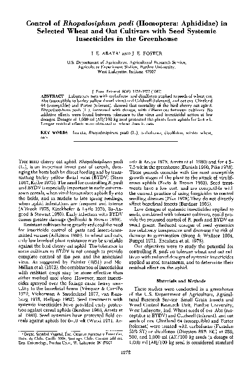 (PDF) Control of Rhopalosiphum padi (Homoptera: Aphididae) In Selected ...