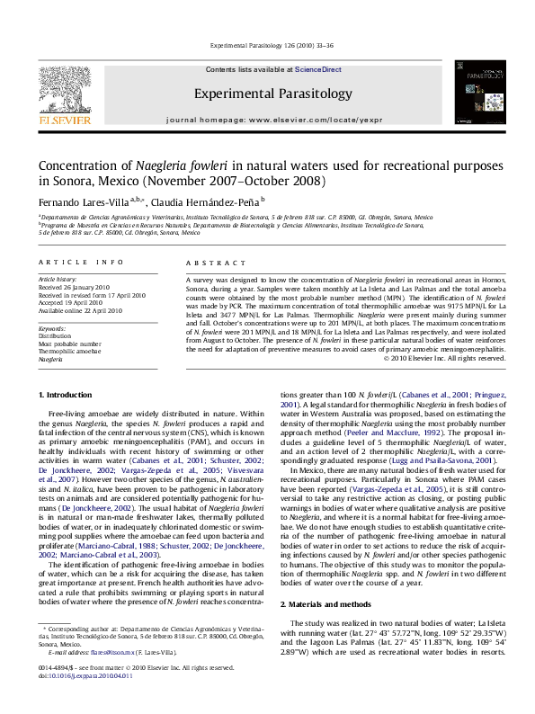 Naegleria fowleri size and shape picture
