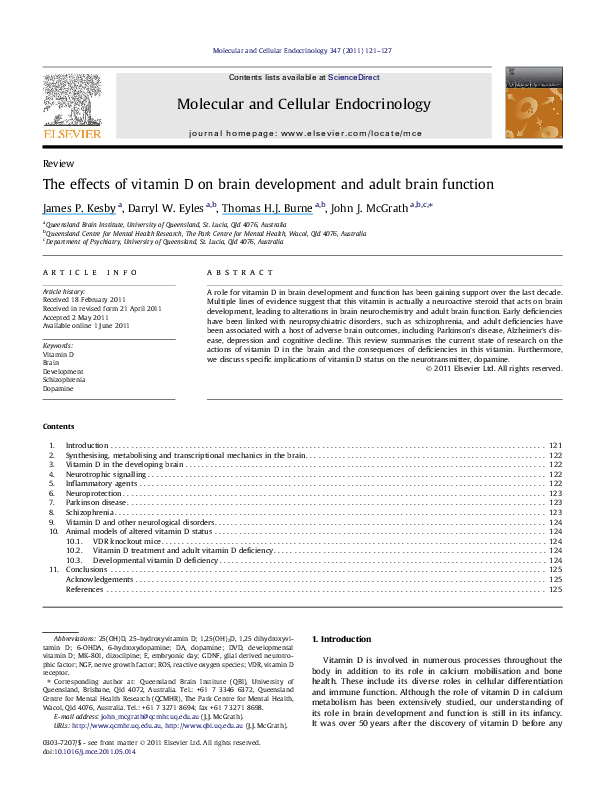 (PDF) The effects of vitamin D on brain development and adult brain ...