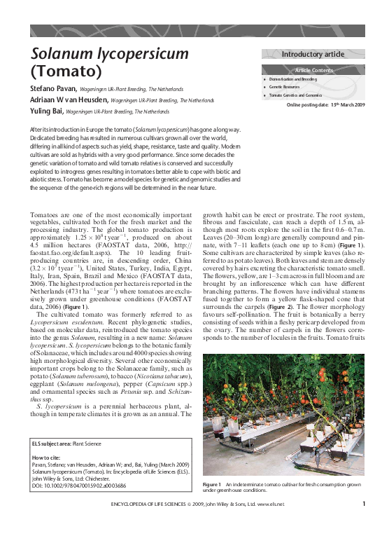 (PDF) Solanum lycopersicum (Tomato)