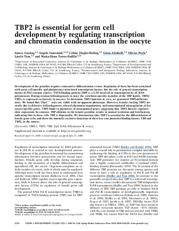 (PDF) TBP2 is essential for germ cell development by regulating ...