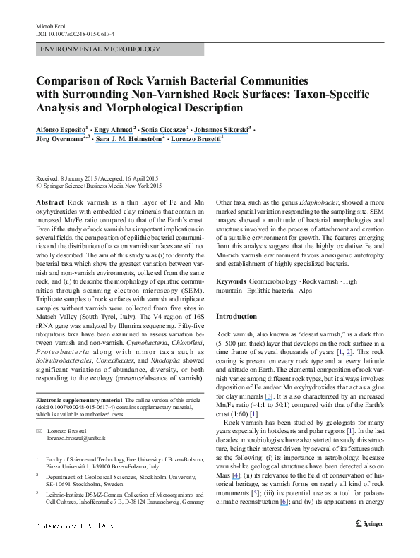 (PDF) Comparison of Rock Varnish Bacterial Communities with Surrounding ...