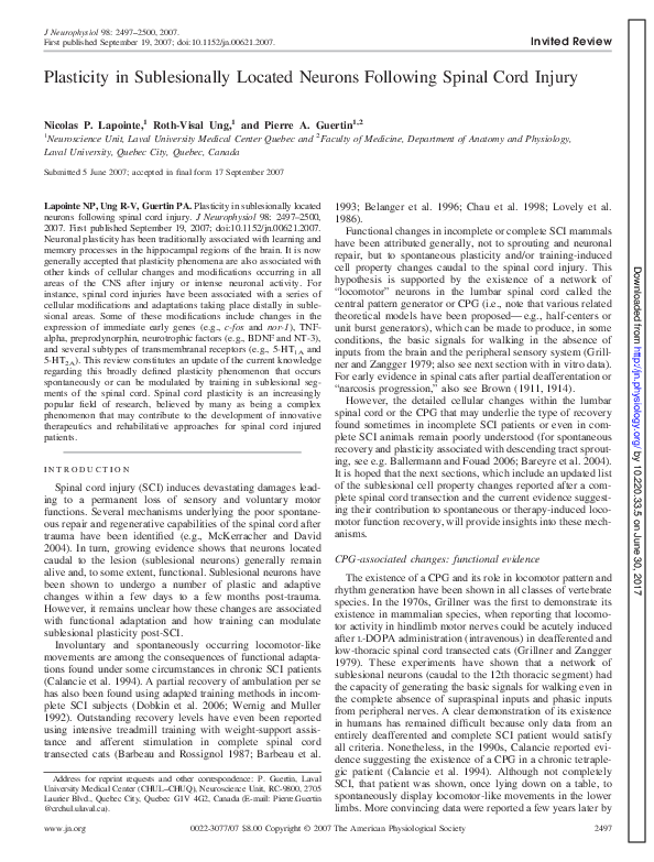 (PDF) Plasticity in Sublesionally Located Neurons Following Spinal Cord ...