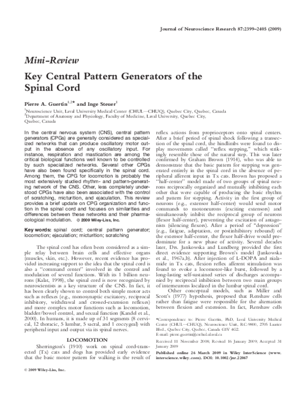 (PDF) Key central pattern generators of the spinal cord