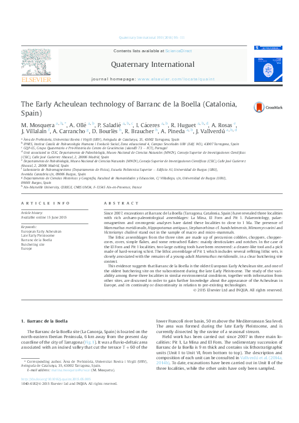 Acheulean technology essay 08 picture
