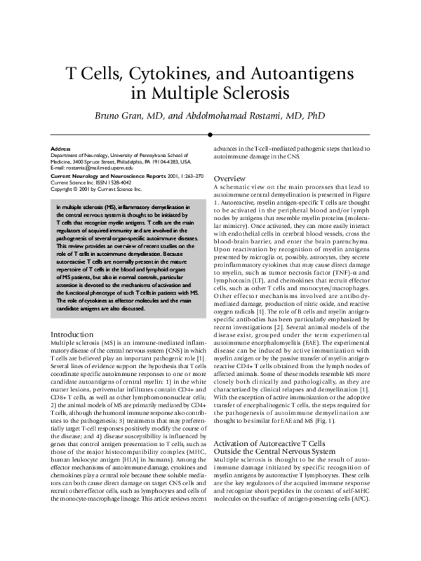(PDF) T cells, cytokines, and autoantigens in multiple sclerosis
