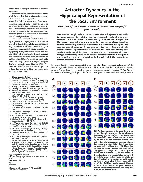 (PDF) Attractor Dynamics in the Hippocampal Representation of the Local ...